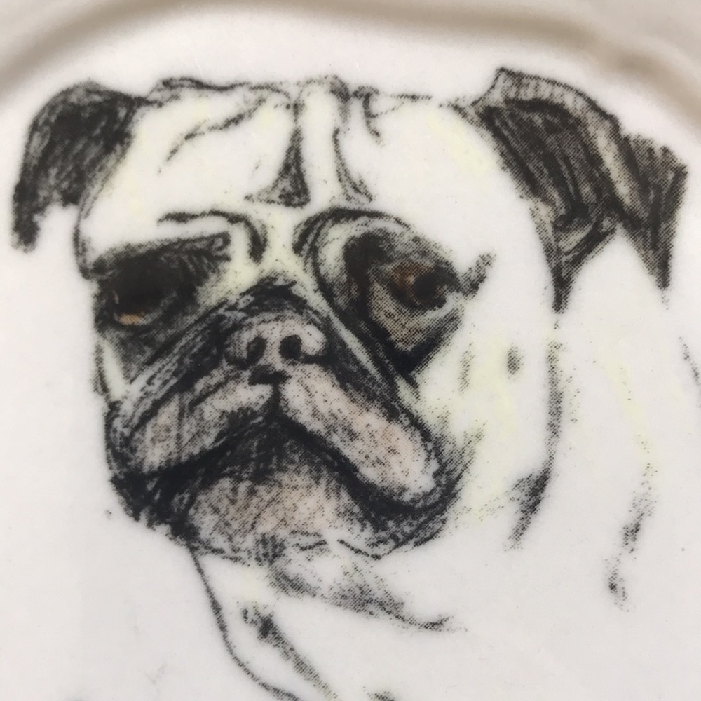 🐕Anthropologie Linea Carta Monogram Canapé Plate D Delightful Dog (pug) - Picture 5 of 12